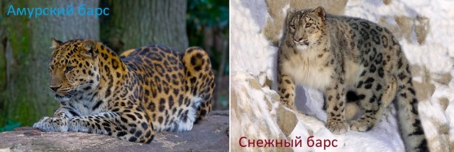 Опять подсобирал картинок, версия мартовская
