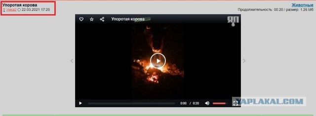Апокалипсис
