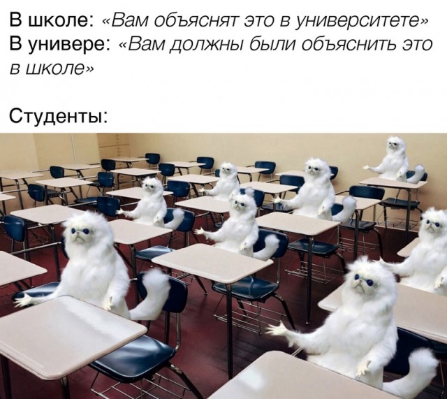 Весёлый полтишок 23.04