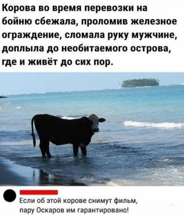 Картинки с надписями и всякие жизненные фразы