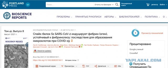 Восстание в Мельбурне - свежие фейки и теории заговоров