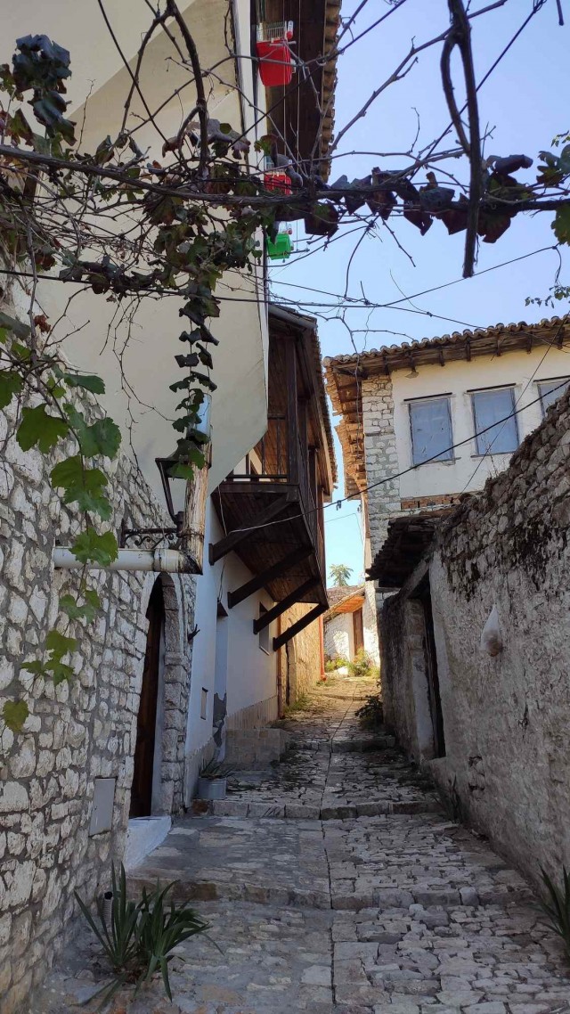 Aлбания в эпоху ХВОРИ всеобщей (2021)