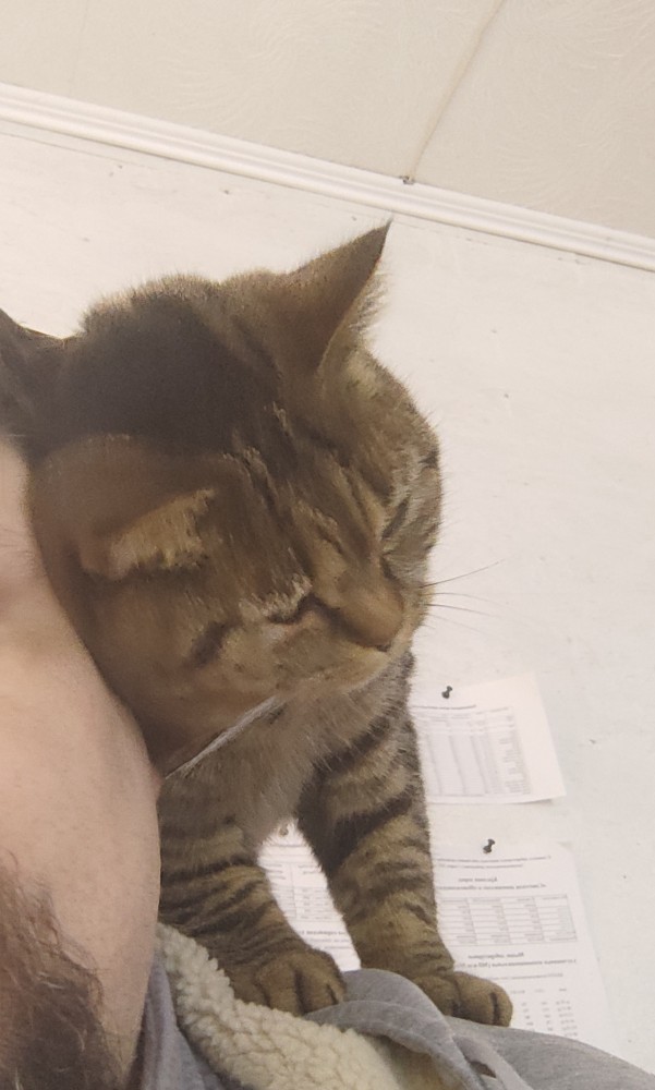Вторник. Котэ. Пора