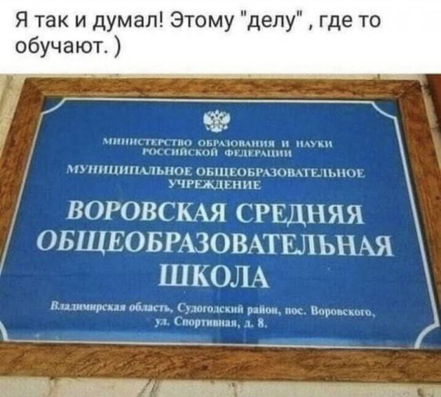 Всяческие картинки 15.12.2021