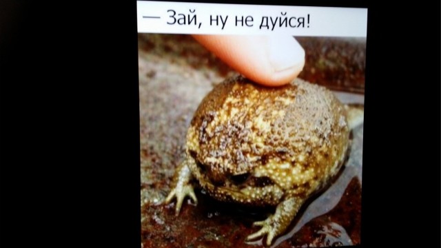 Отвали, я сказала!