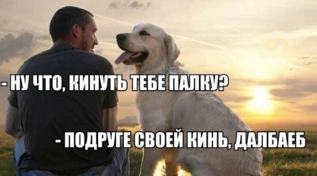 Аморальная деградация