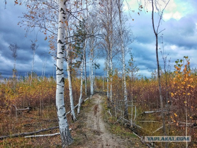 Мое небольшое увлечение. Мобильная фотография