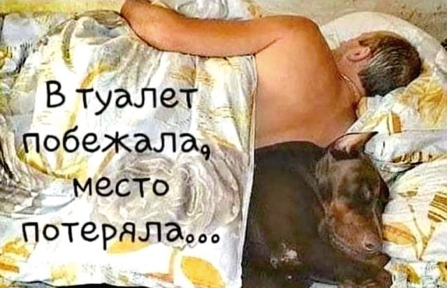 Так себе картинки 24.02.22