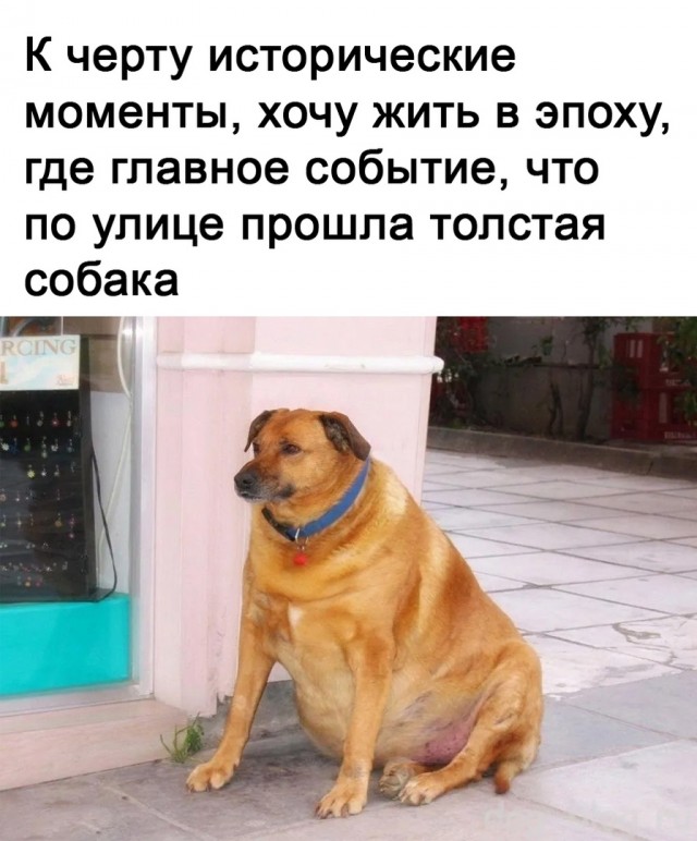 Так себе картинки 28.02.22