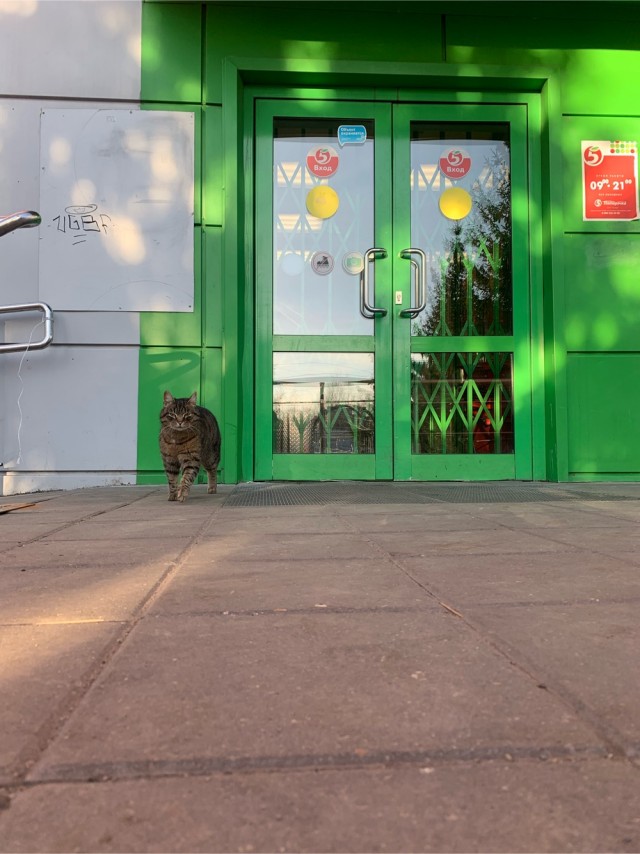 Интересное интервью