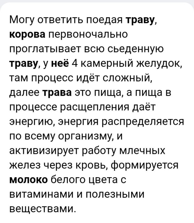 Три моих вопроса