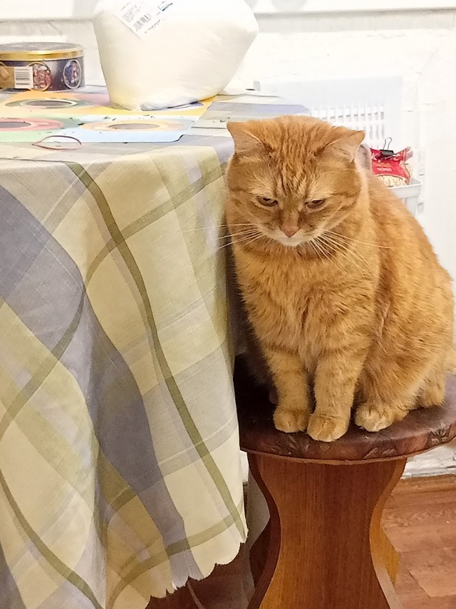 Кот д’Ивуар