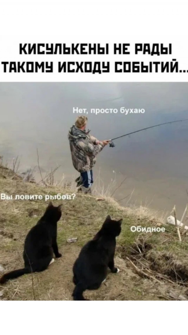 Доброе утро, рыбаки