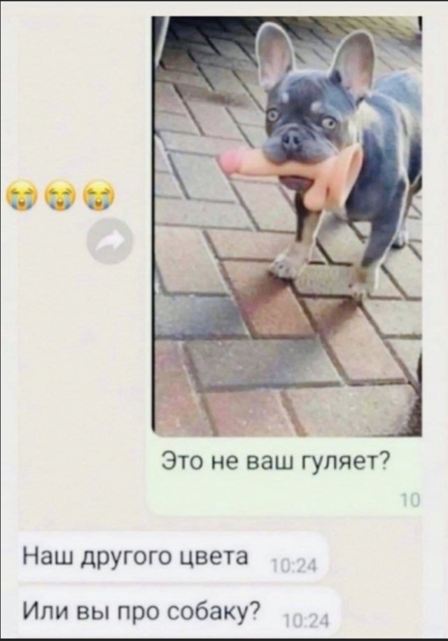 Картинки и мемы для настроения - 27