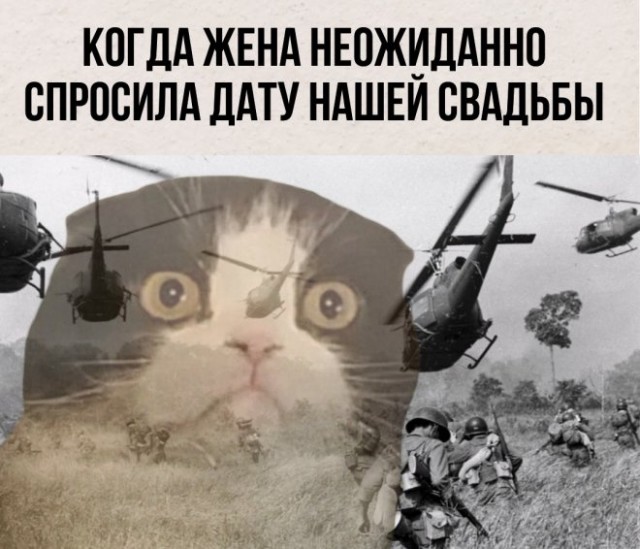 Так себе картинки 18.07.22