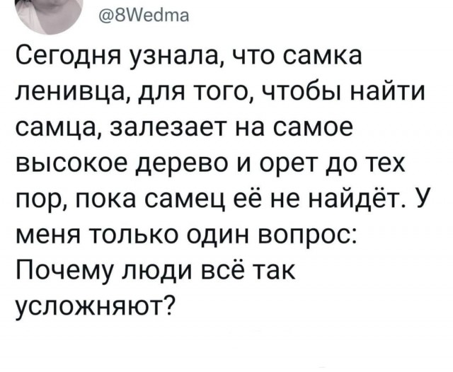 Юмор в картинках и без