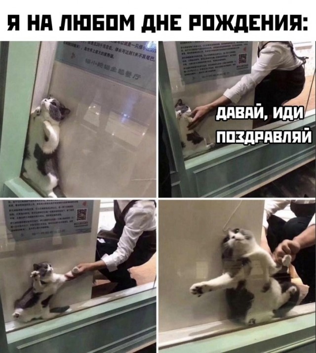 Картинки и мемы для настроения - 17