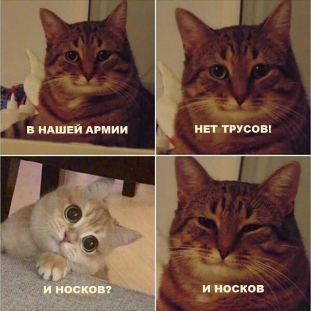 ⚡️Путин о проблемах мобилизации