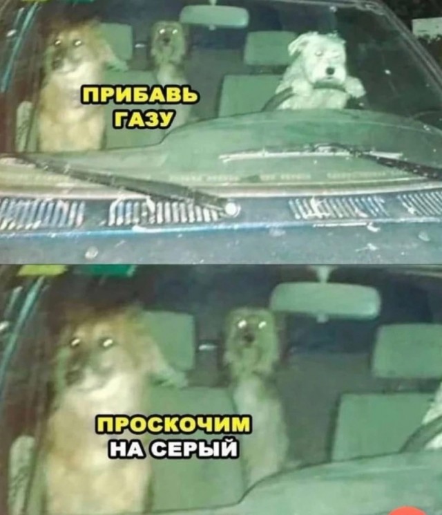 Так себе картинки 19.10.22