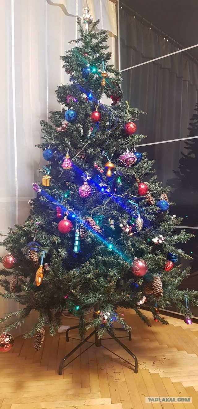 Выкладывайте свои елки!