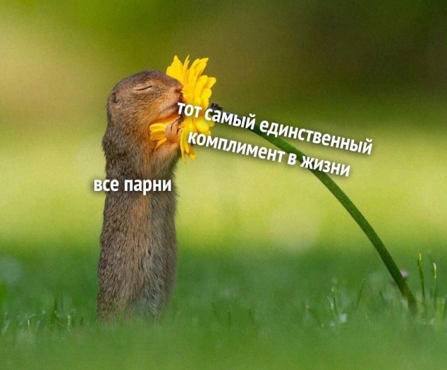 Картинки и мемы, всем хороших выходных
