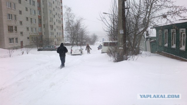 Весна пришла,весне дорогу!