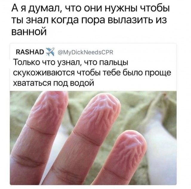 Чуток картинок 22.01.23