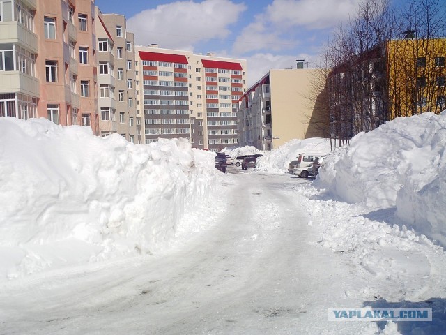 Весна на Камчатке