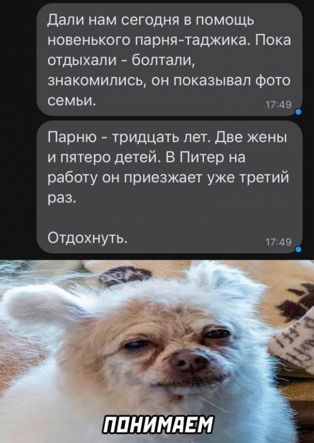 Немного картинок для настроения - 127