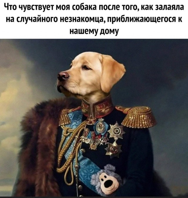 Картинки и мемы для настроения - 137