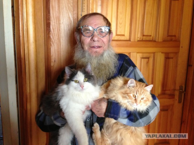Котовторник 09.04.2013