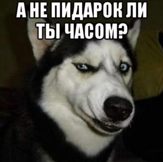 В такую подпись все поверят