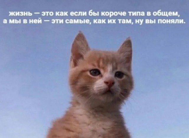 Так себе картинки 17.07.23