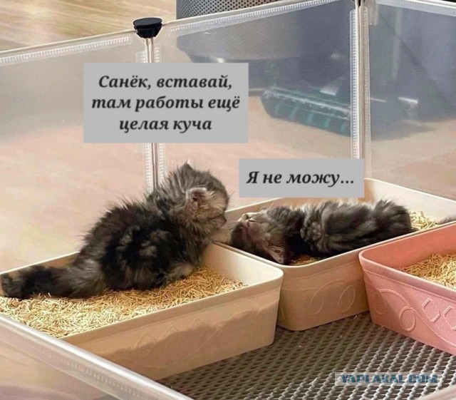 Жена собралась разводиться! Часть 2