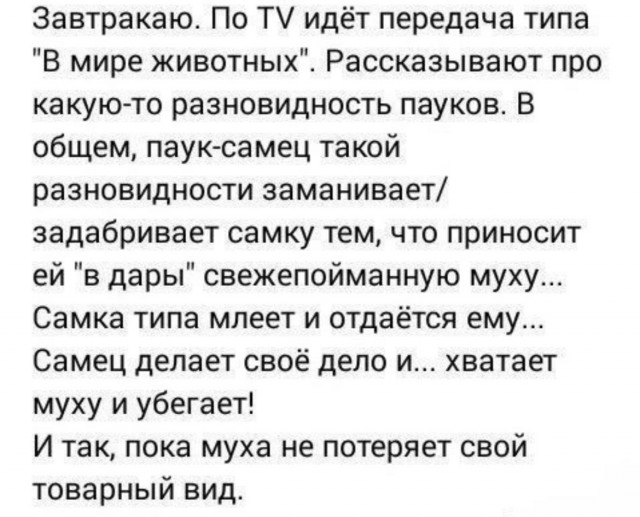 Так себе картинки 23.09.23