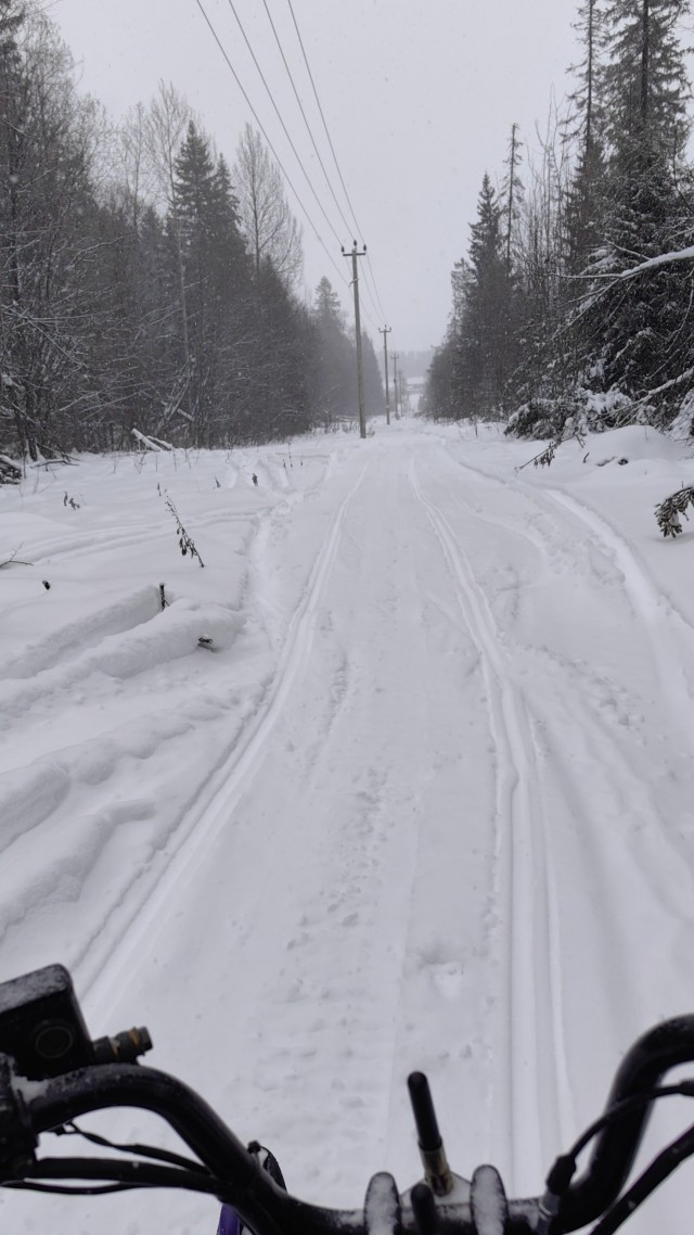 Первый день зимы в лесу в Удмуртии