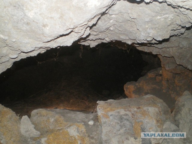 Хочу дачу на канарах!