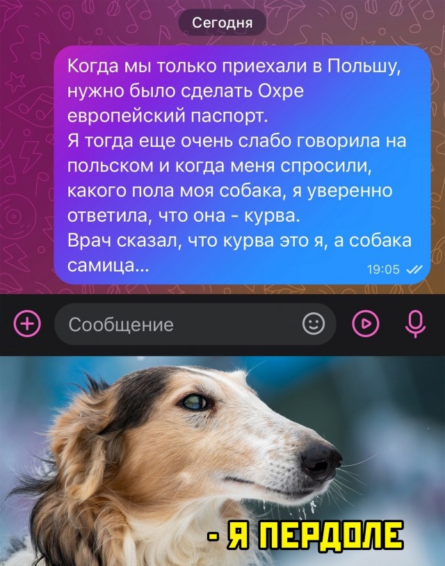 Польский язык изобрели ради мемов