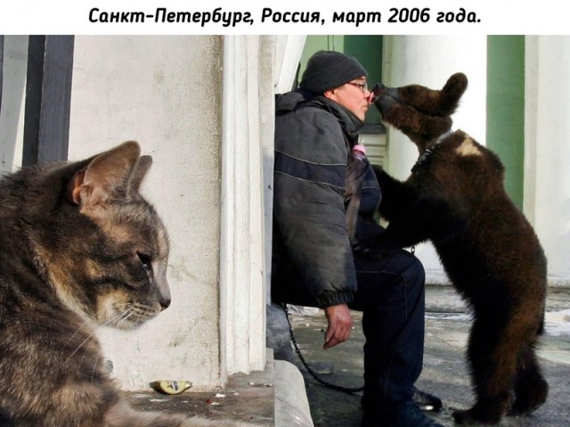 Небольшая подборка исторических фото (20.02)