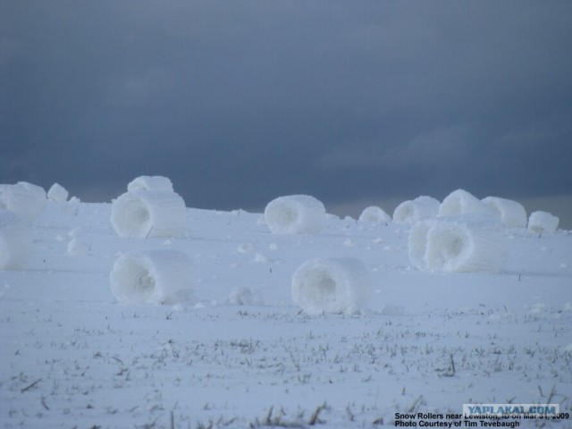 Снежные рулеты(6 фото)