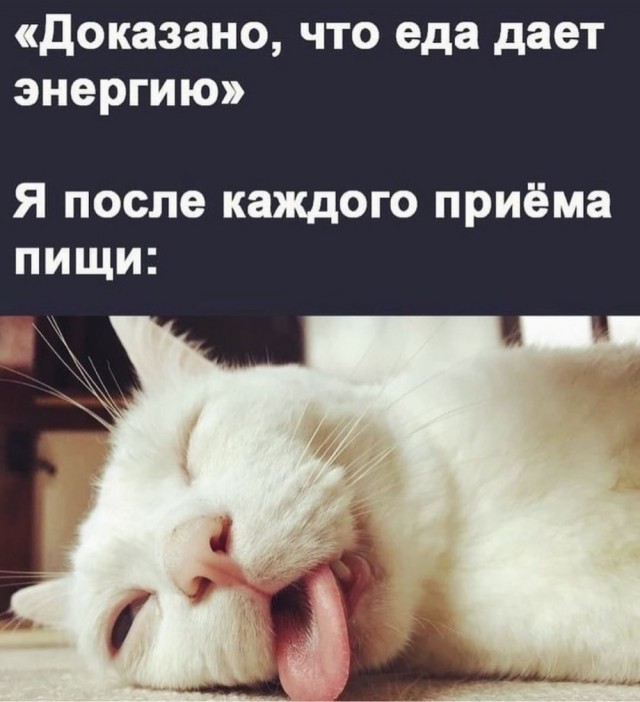 Быстрое деградирование