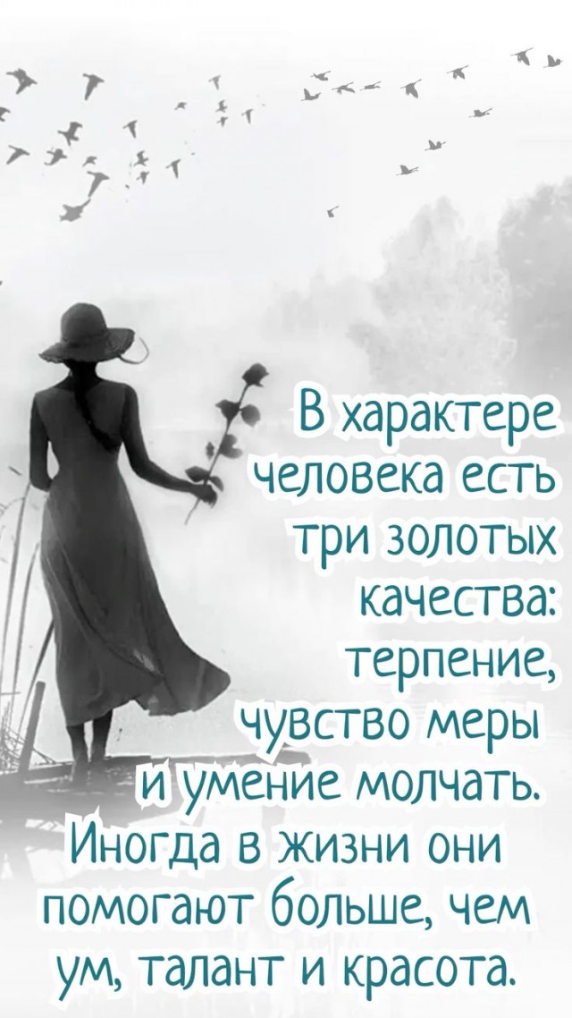 Прикольные и просто красивые картинки 22.10.2024