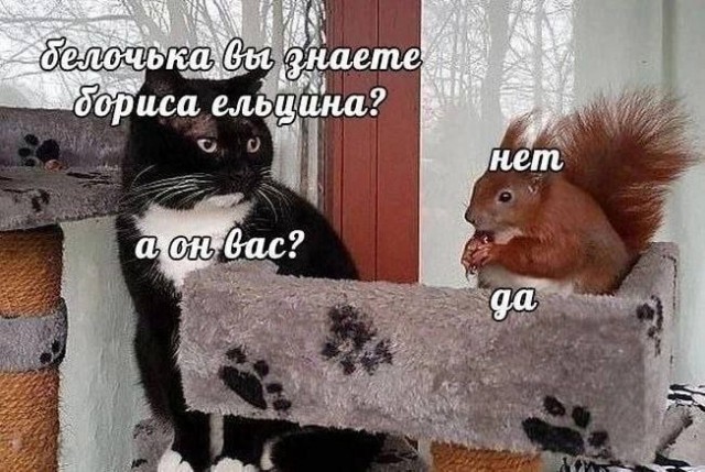 Дочь на тебя жалуется...