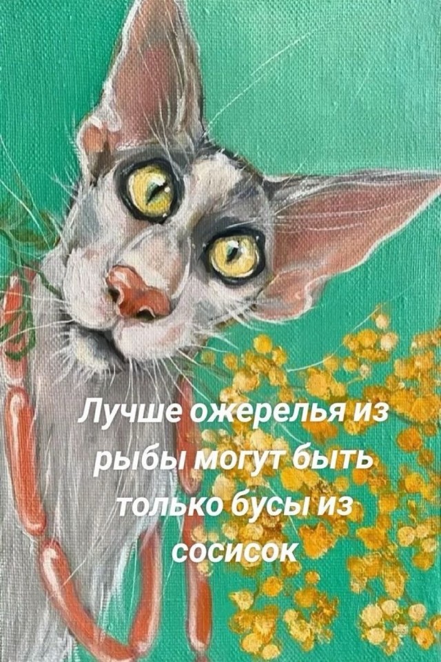 Прикольные и просто красивые картинки 16.05.2025
