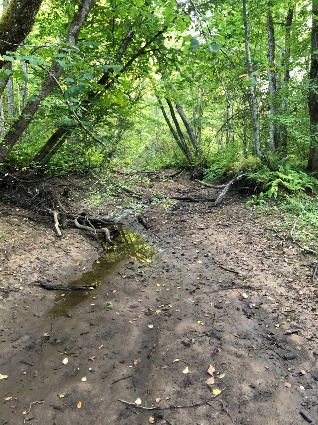 Подписан я тут на одних копателей,интересный пост опубликовали в сообществе,это вообще законно?