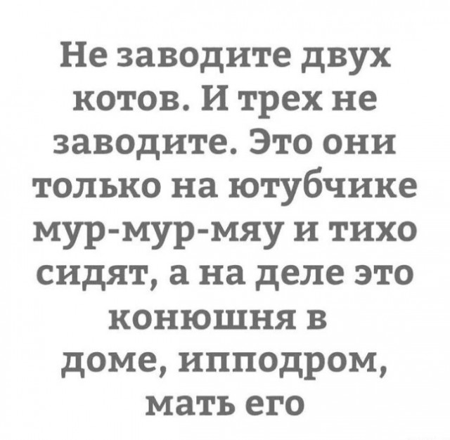 Веселый полтишок (09.07.2025)