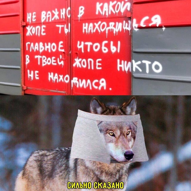 Так себе картинки 22.07.25