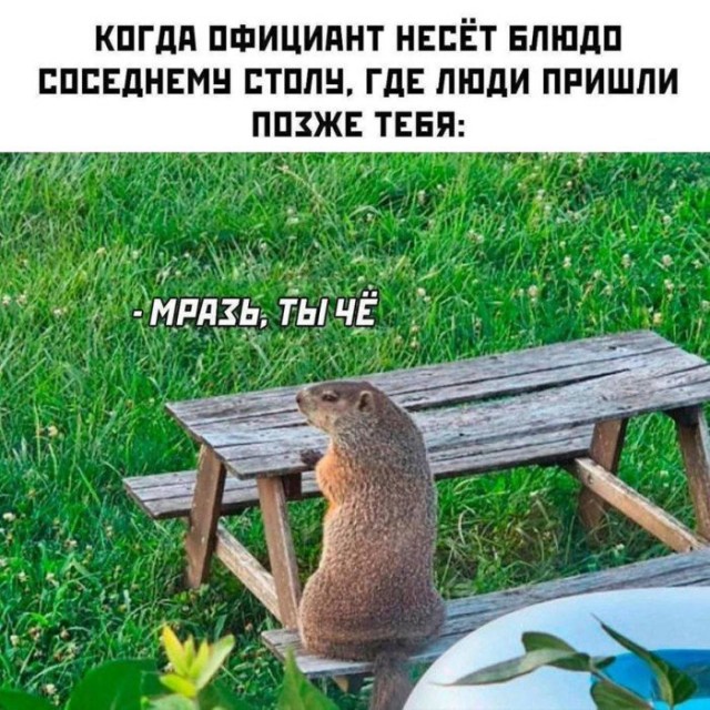 Картинки для деградации 17 (разной степени свежести)