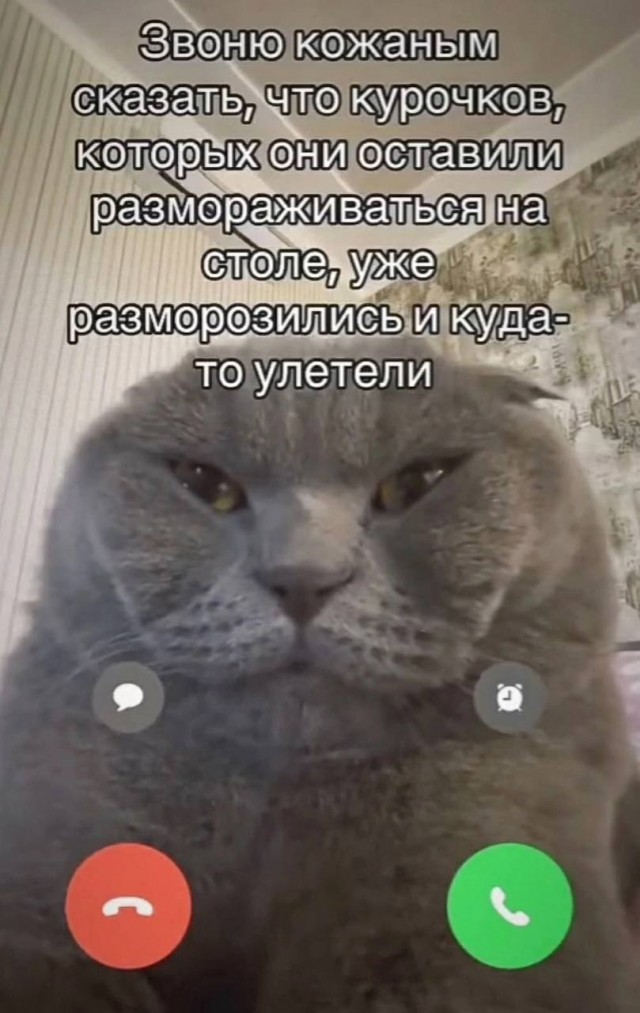Картинки для деградации 29 (разной степени свежести)