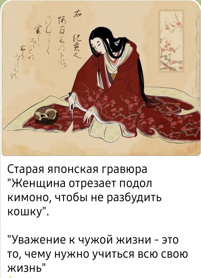 Положи назад! Я тебя нашёл - теперь ты вся моя